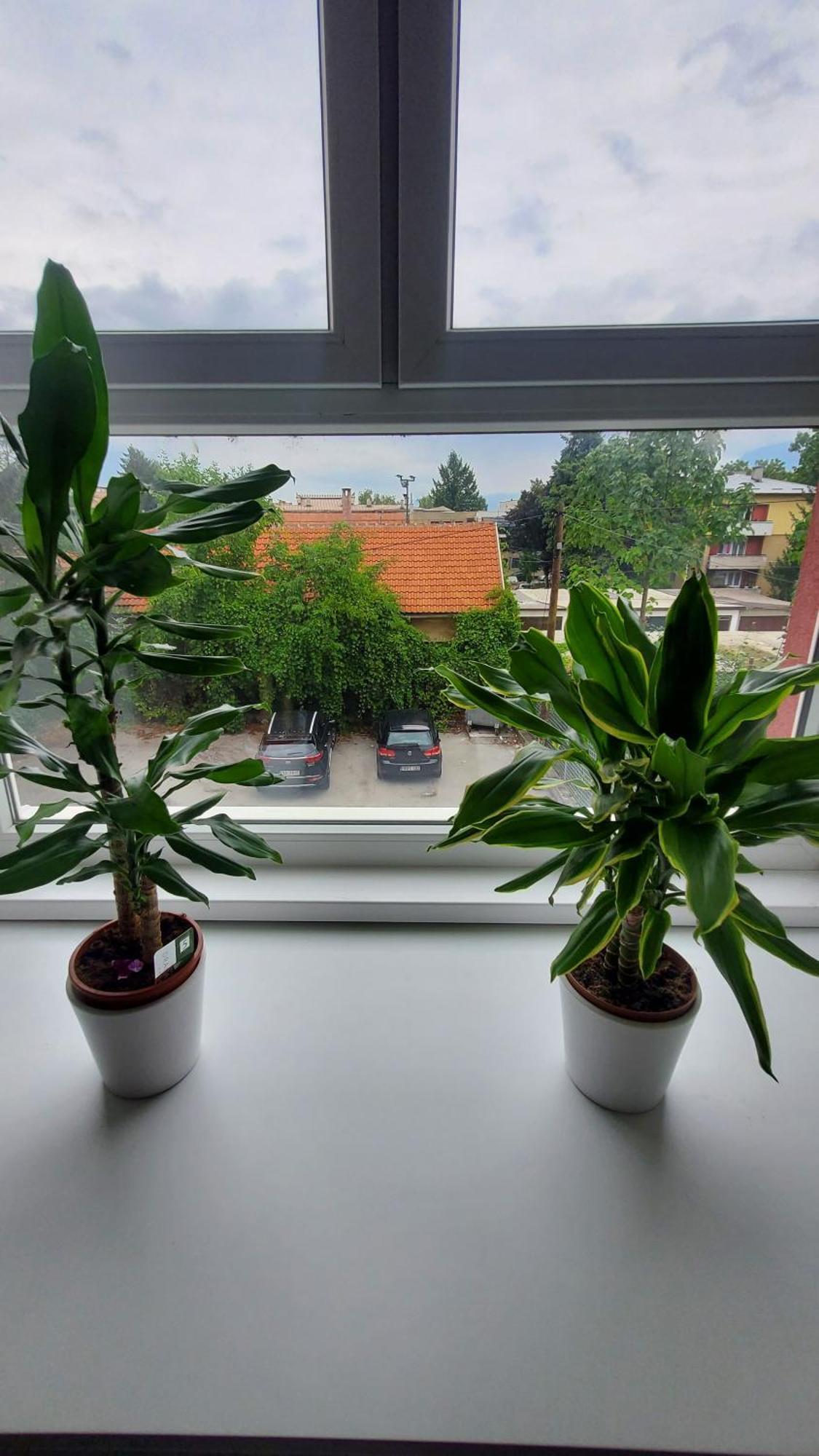 Apartmani Blue I Green Bugojno Exterior foto